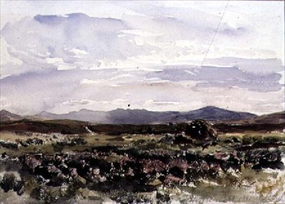 在山，Dolwyddelan，北威尔士 作者 托马斯·科利尔