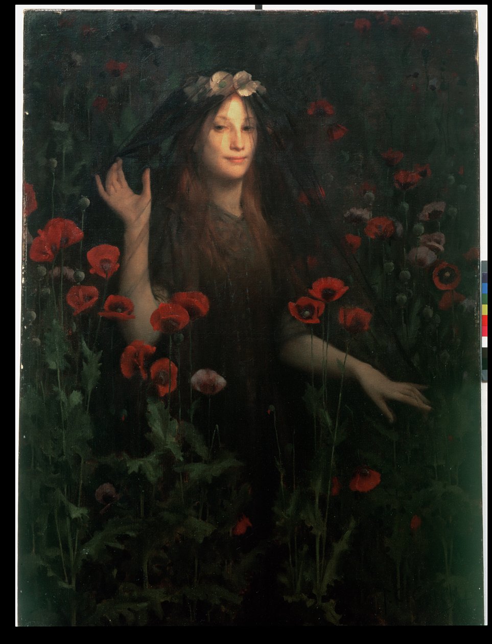 死亡新娘，1894-95 作者 托马斯·库珀·戈奇