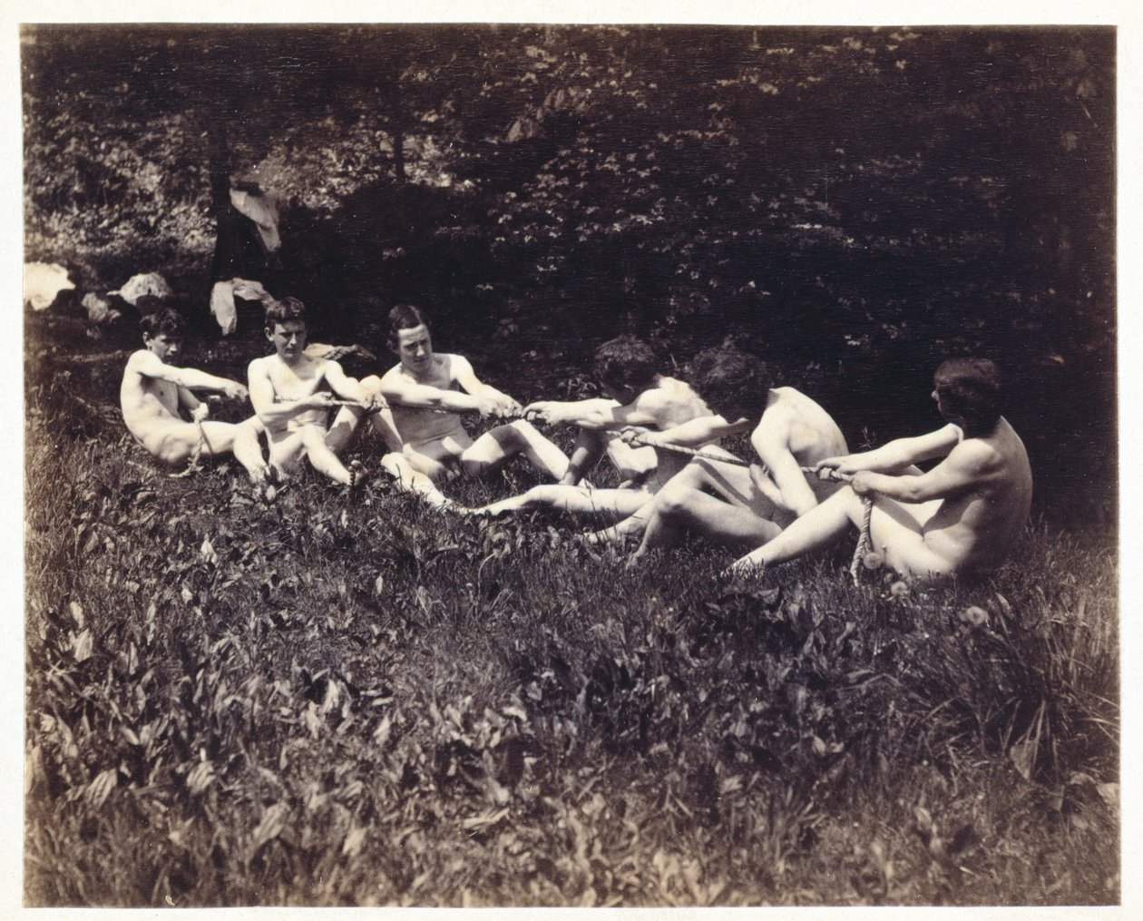 男性裸体在坐着的拔河比赛中，c.1883（蛋白打印） 作者 托马斯·埃金斯