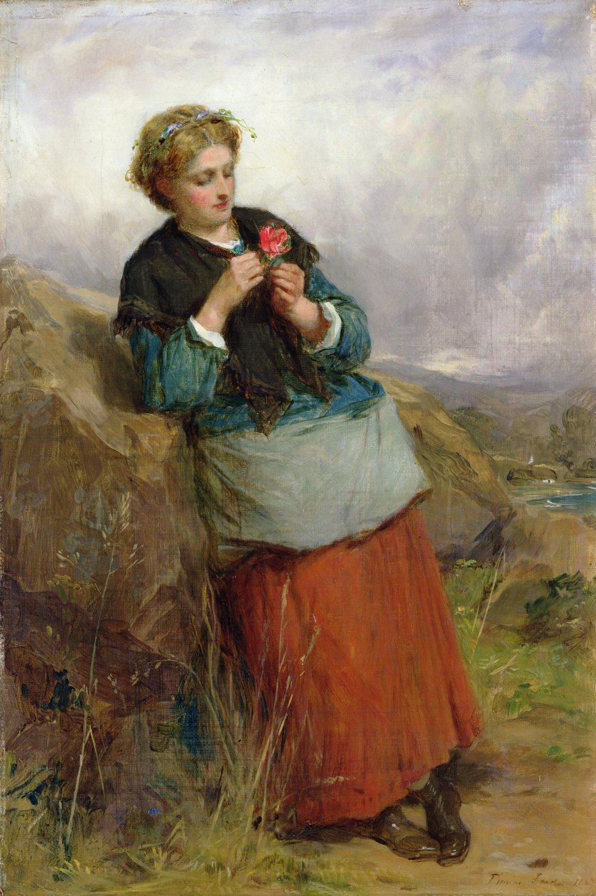 邓布兰之花，1867年 作者 托马斯·法德