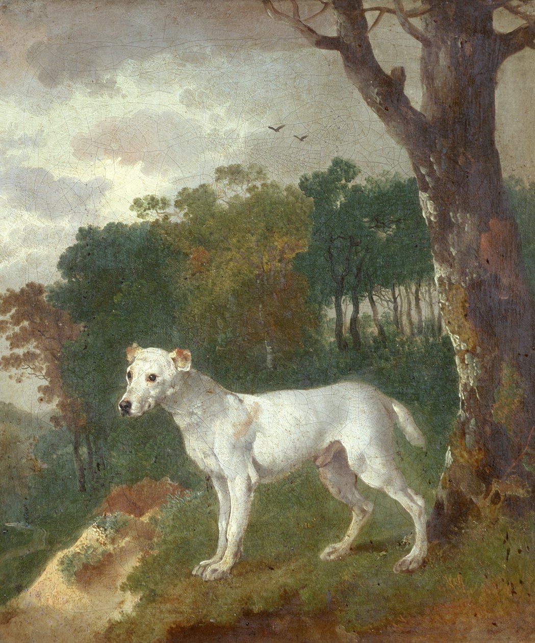 保险杠，斗牛犬，1745年 作者 托马斯·盖恩斯伯勒