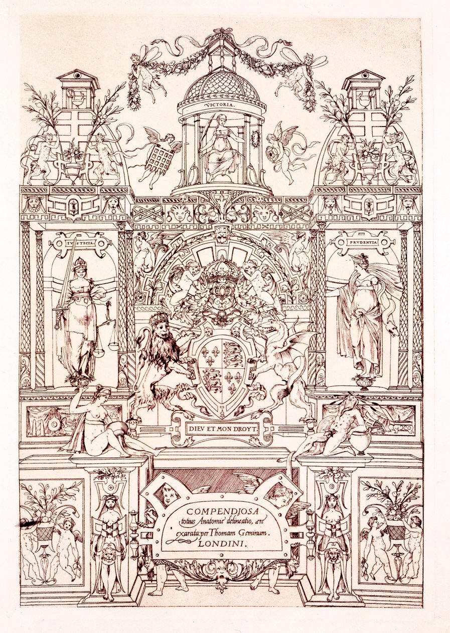 1545年解剖学纲要的主题 作者 托马斯·吉米努斯