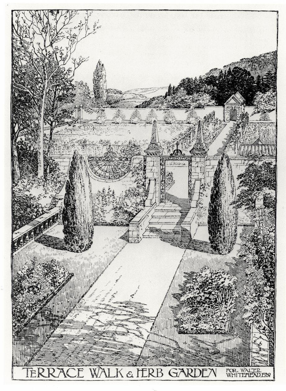 1900年出版的Thomas Mawsons艺术与花园制作工艺中的Terrace Walk和Herb Garden（另见171946） 作者 托马斯·海顿·莫森