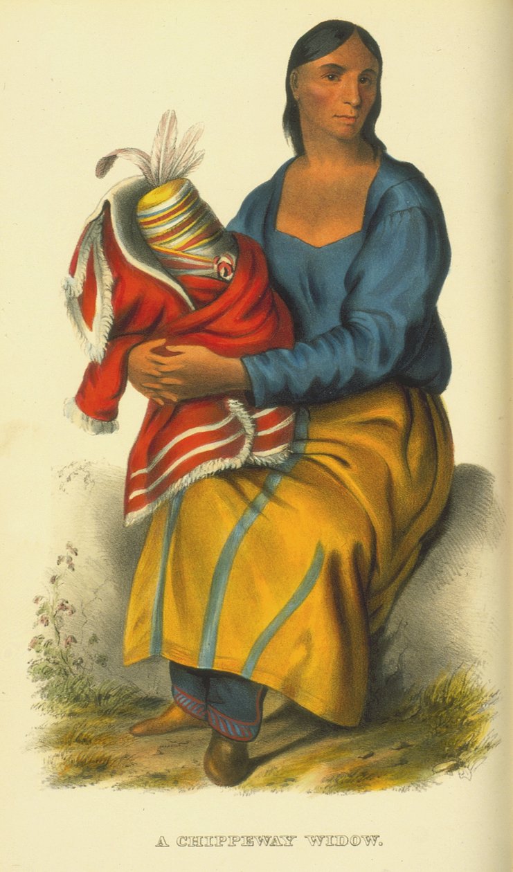 Chippeway寡妇，1854年（手工彩色光刻） 作者 托马斯·洛兰·麦肯尼