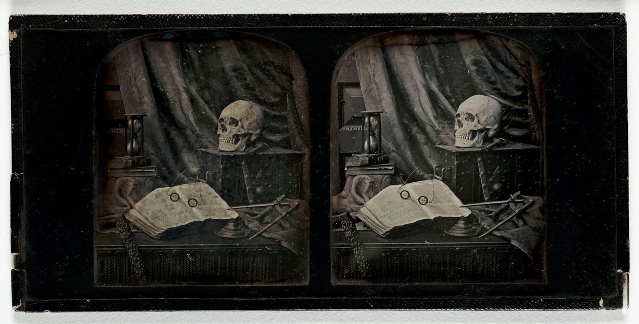 自然死亡，c.1955（daguerreotype） 作者 托马斯·理查德·威廉姆斯