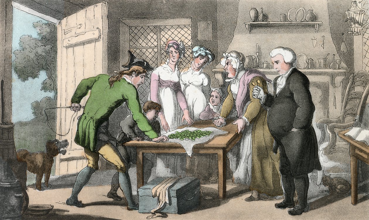 The Gross of Green Spectacles，来自&39;Wakefield的牧师&39;的插图，由Oliver Goldsmith，酒吧。阿克曼，1817年（手工彩色） 作者 托马斯·罗兰森
