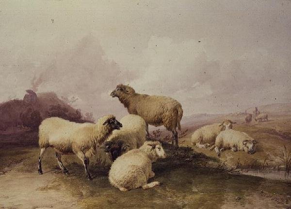 绵羊在风景，1844年 作者 托马斯·西德尼·库珀