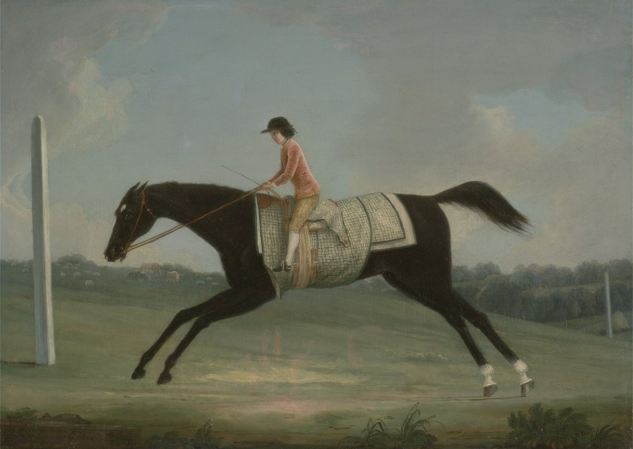 Borlase Cokayne作为一个骑着苏丹娜的男孩，1751年 作者 德比的托马斯·史密斯