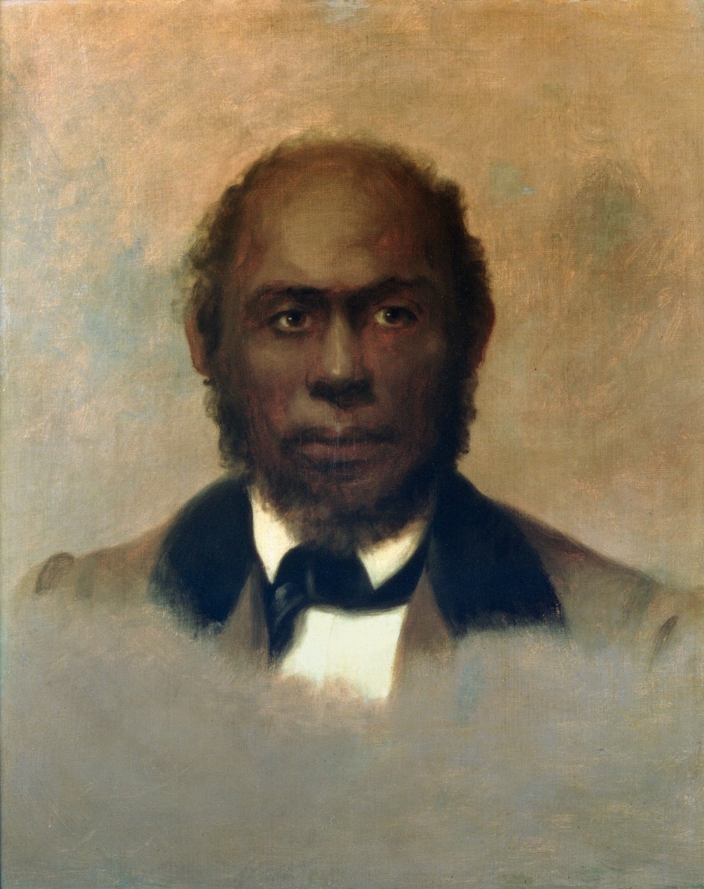 Daniel Dashiel Warner（1815-80）1874 作者 托马斯·萨利