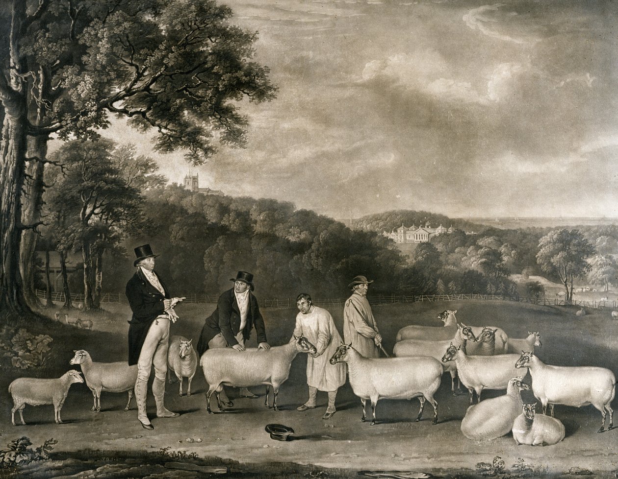 托马斯威廉可可的肖像，Esq。 （1752-1842）与沃尔顿先生和霍尔克姆牧羊人一起检查他的一些南下羊，由William Ward（1766-1826）雕刻，1808年 作者 托马斯·韦弗