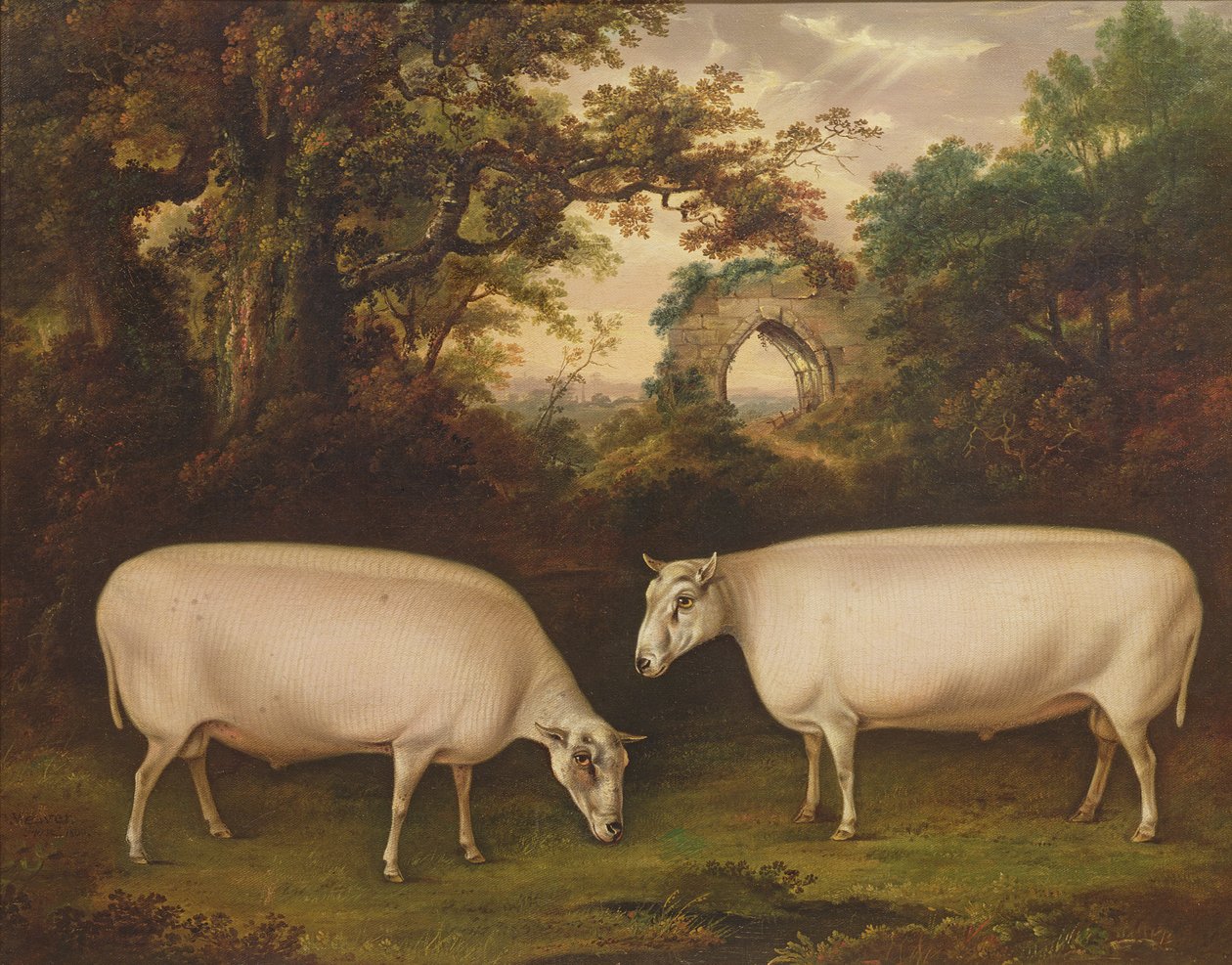两个奖边境莱斯特公羊在风景，1800 作者 托马斯·韦弗