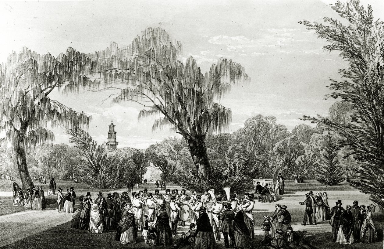 植物园，开普敦，由W. Simpson制作的印刷品，1850年代 作者 托马斯·威廉·鲍勒