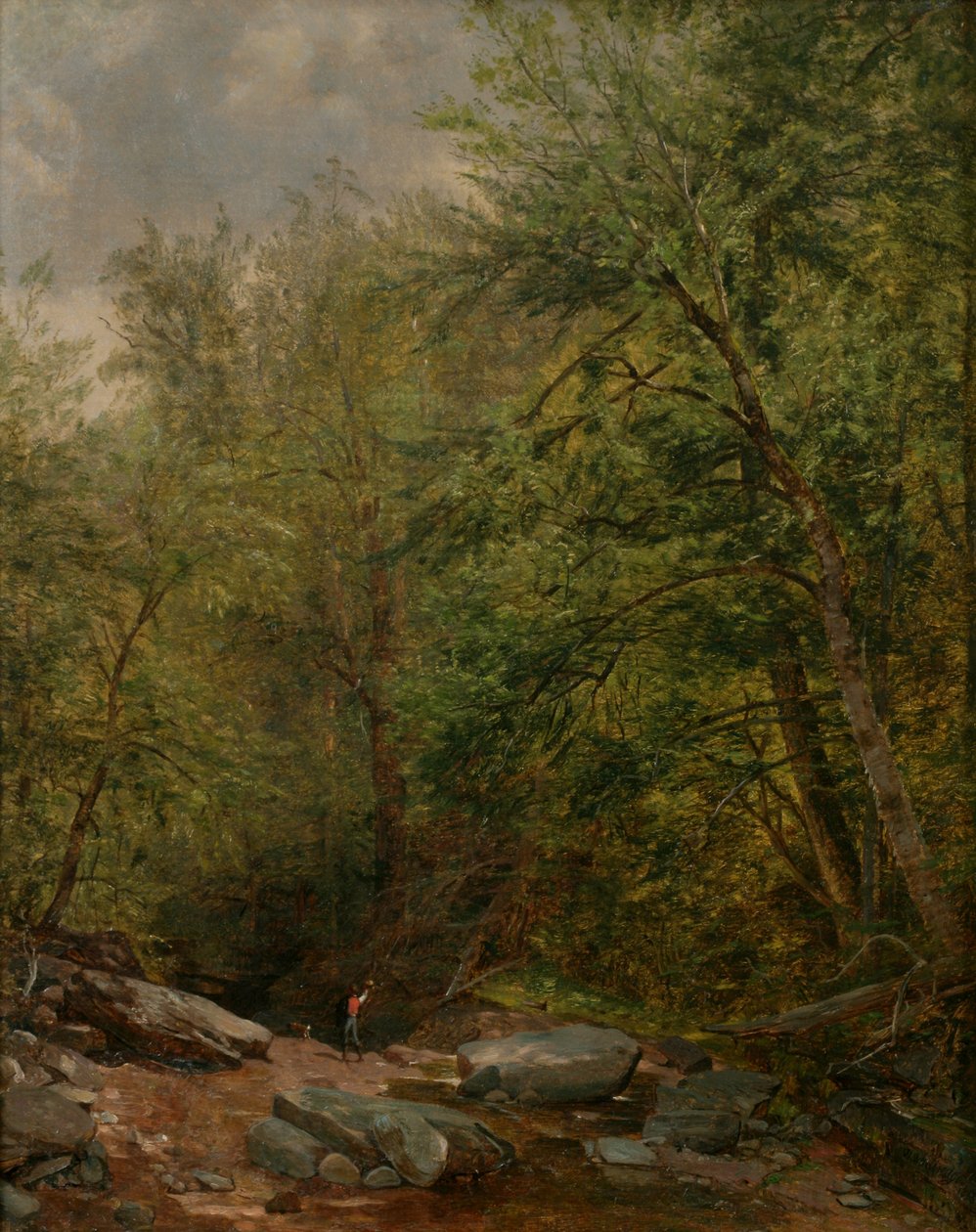 自然研究，1863年 作者 托马斯·沃辛顿·惠特里奇