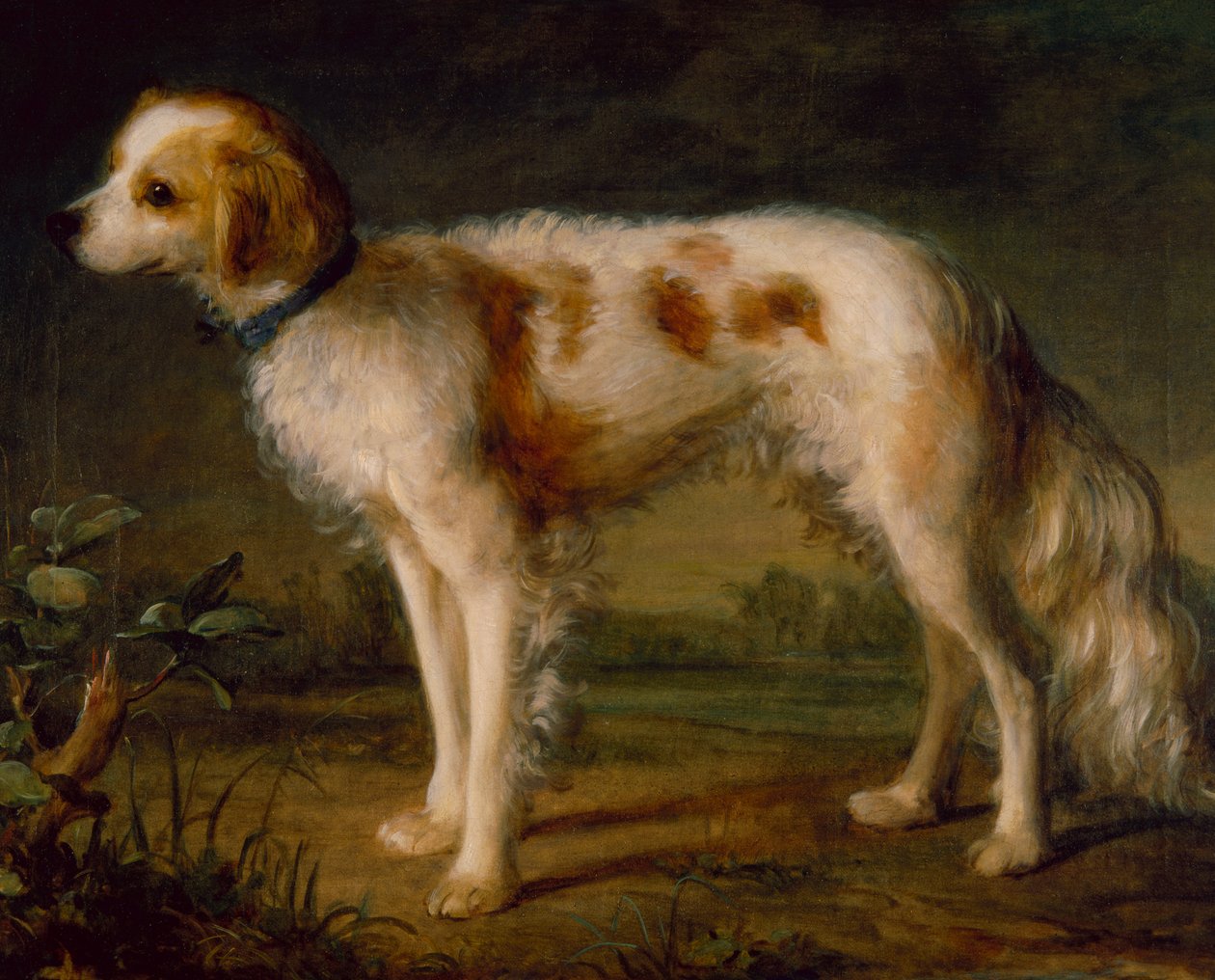 景观中的小猎犬（油画） 作者 托马斯盖恩斯伯勒（圆圈）