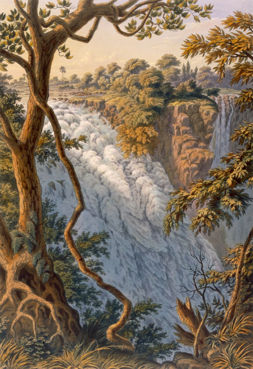 维多利亚瀑布：The Leaping Water, pub.1864. 作者 托马斯贝恩斯