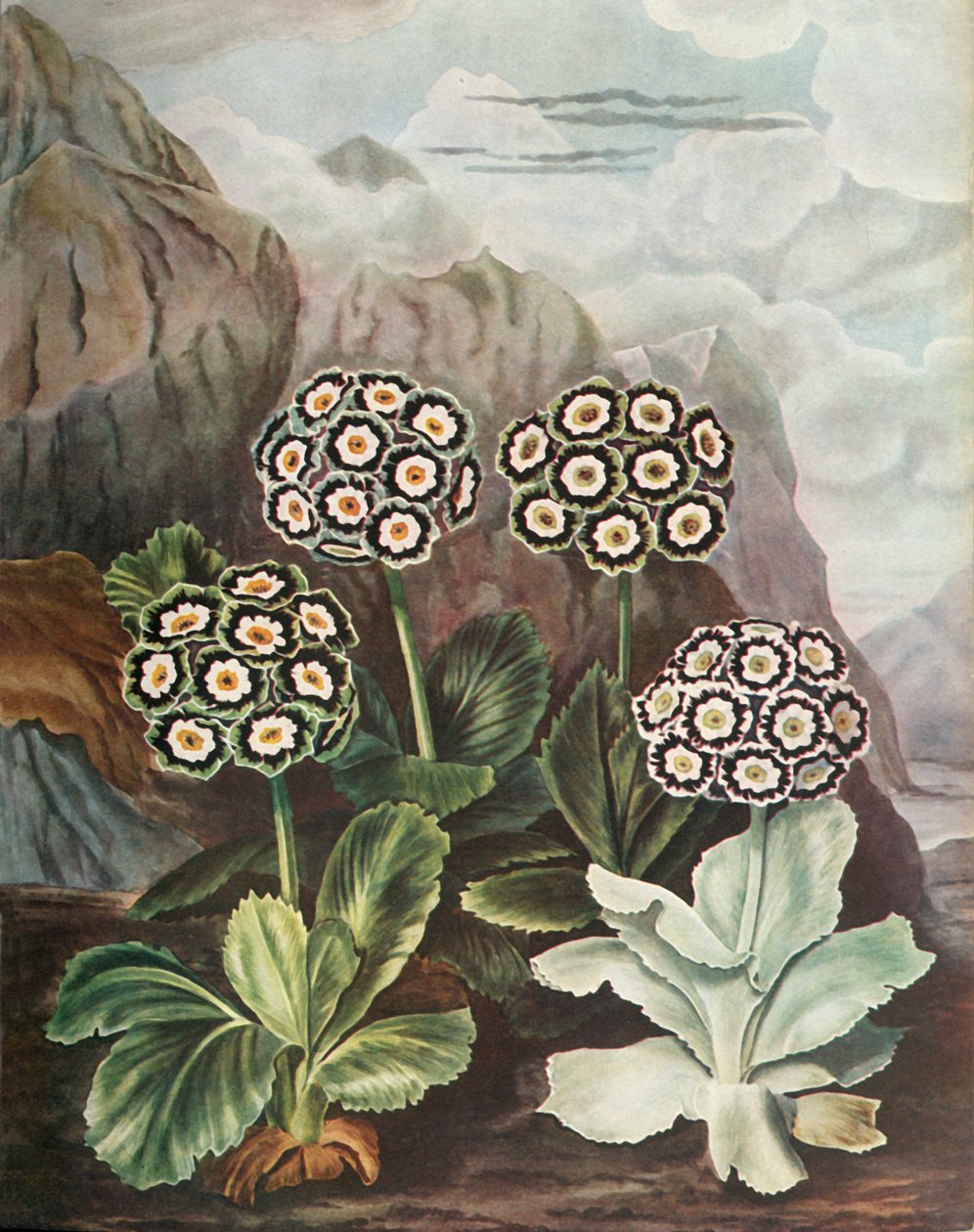 把手，c1802-1821，1948年。 作者 托马斯·巴克斯特
