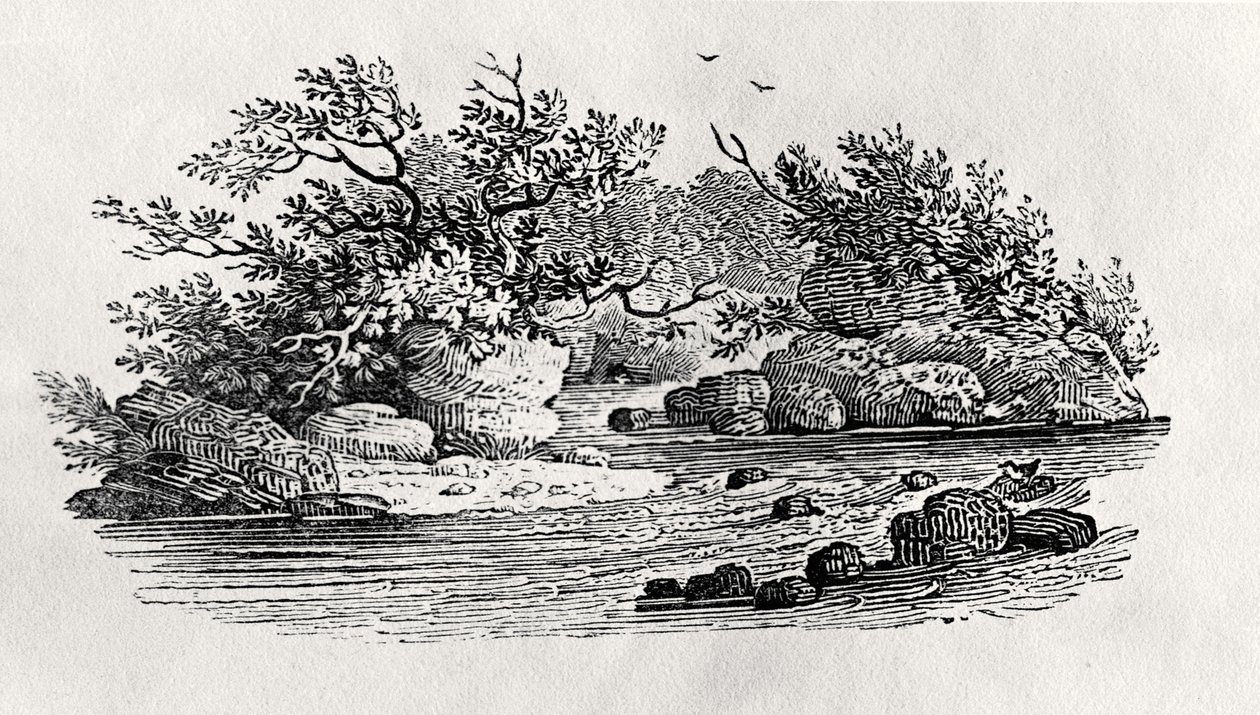 河流中的一个弯道，出自《水鸟》，1804年出版（木刻）。 作者 托马斯·贝威克
