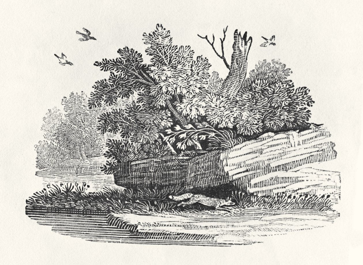 福克斯逃离，来自“四足动物的通史”，1790年出版（木版画） 作者 托马斯·贝威克