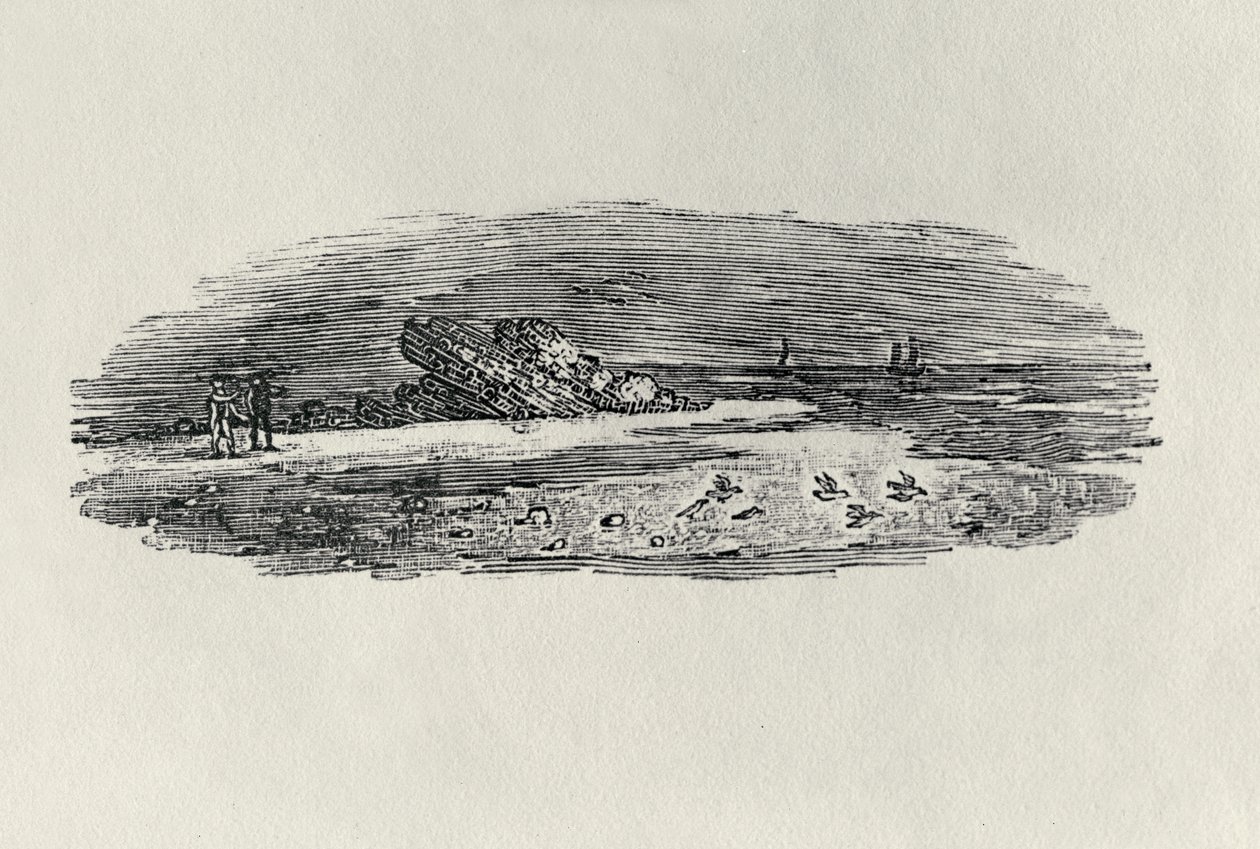 沿海航运的岩石，c。 1801年，出自1804年出版的“水鸟”（木雕） 作者 托马斯·贝威克