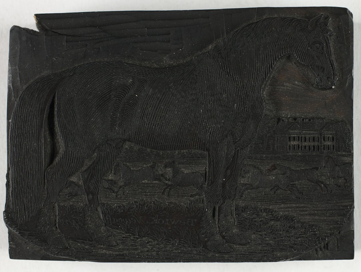 四足动物通史》中的《黑马》木刻版画 作者 托马斯·贝威克