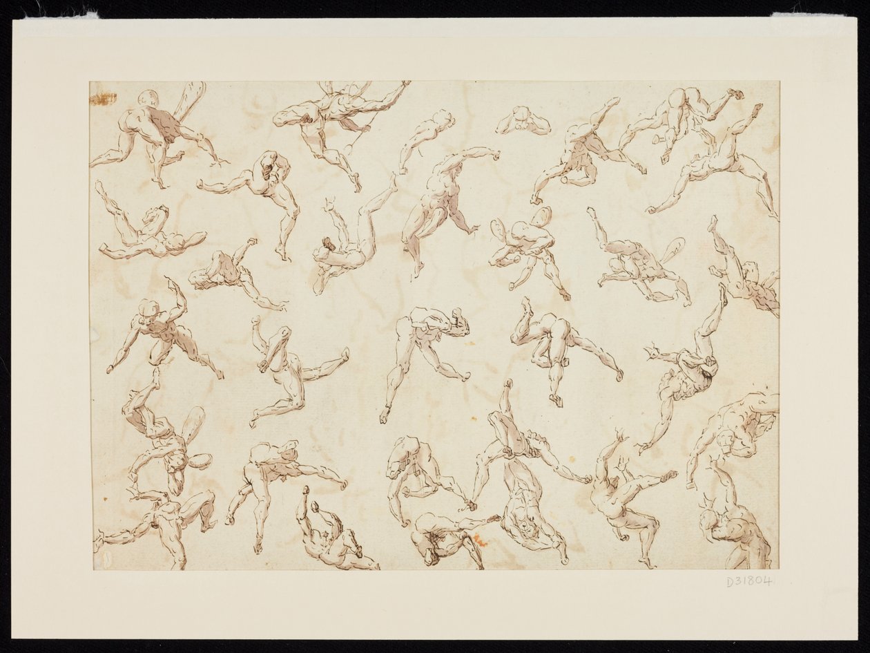  作者 托马斯·卡威瑟姆