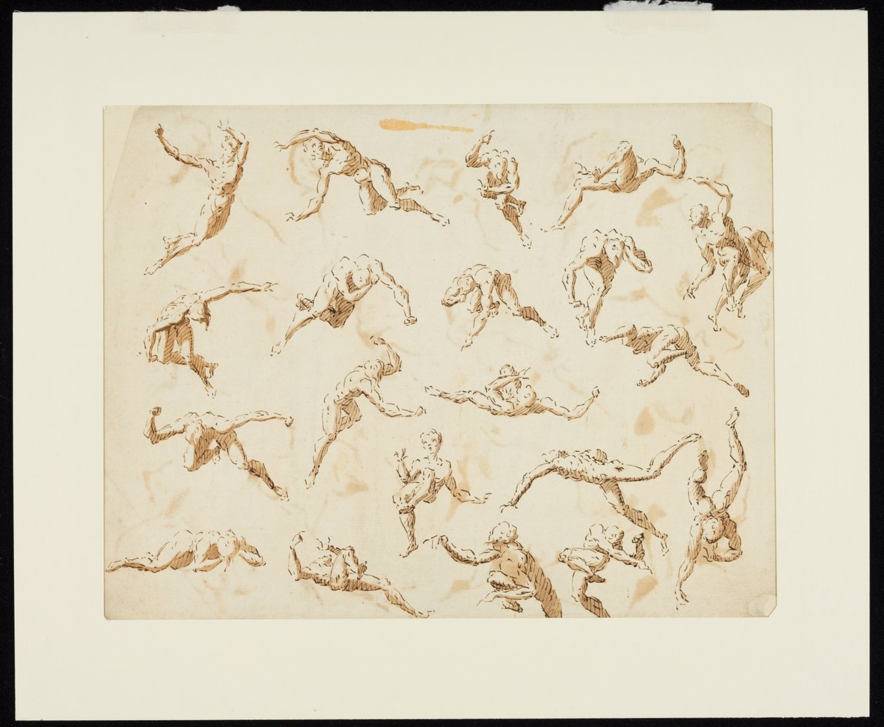  作者 托马斯·卡威瑟姆