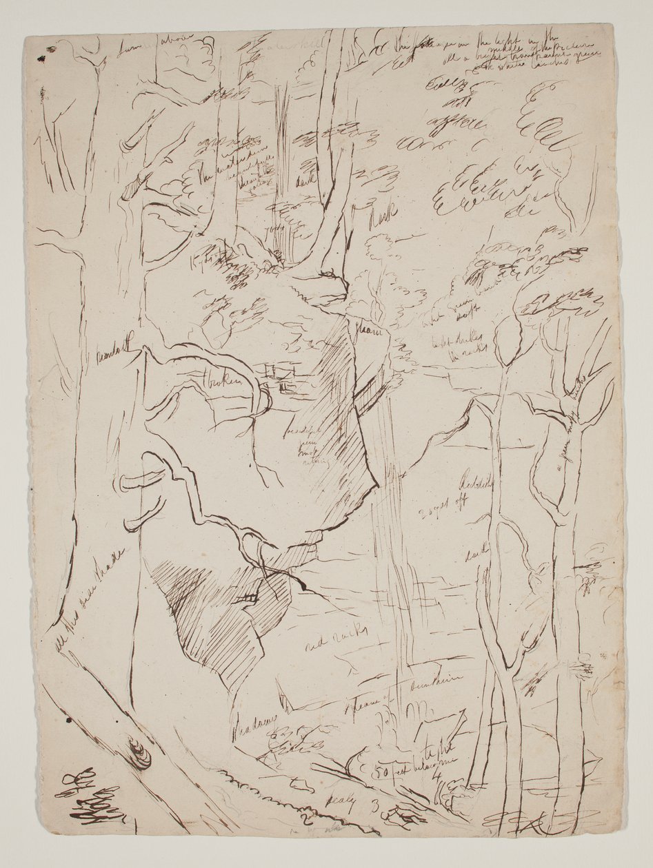 卡特斯基尔瀑布，约1801-48（钢笔和棕色墨水） 作者 托马斯·科尔