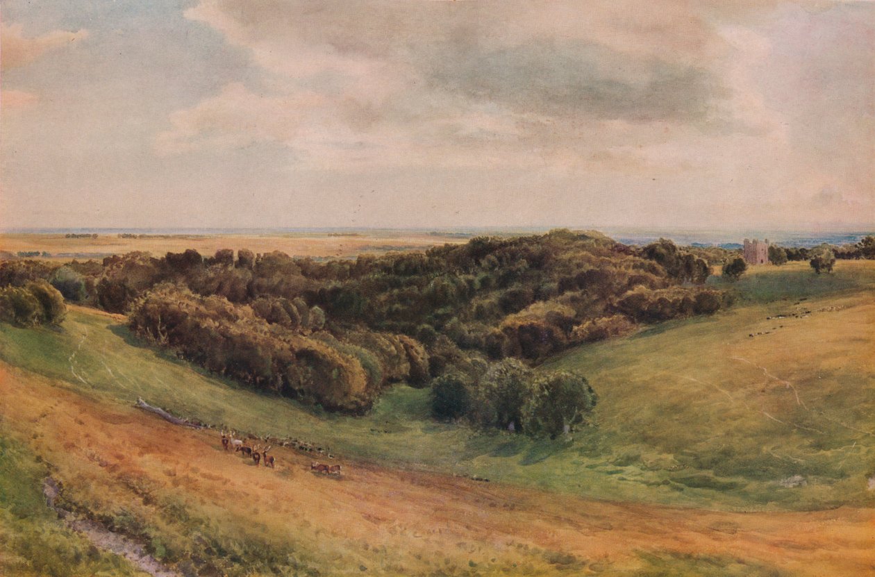 阿伦德尔公园，1874年 作者 托马斯·科利尔