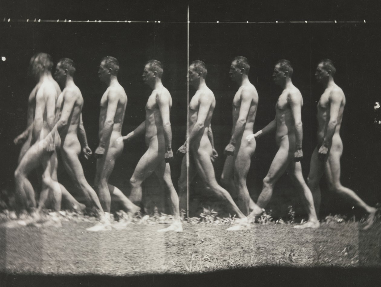 [Man Walking, Stroboscopic Photograph], 1880s, printed 1930s-40s. 作者 托马斯·埃金斯