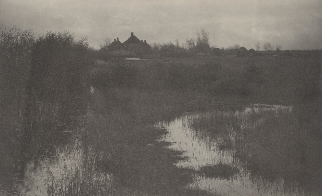 沼泽边缘，1886 年（照片） 作者 托马斯·弗雷德里克·古道尔