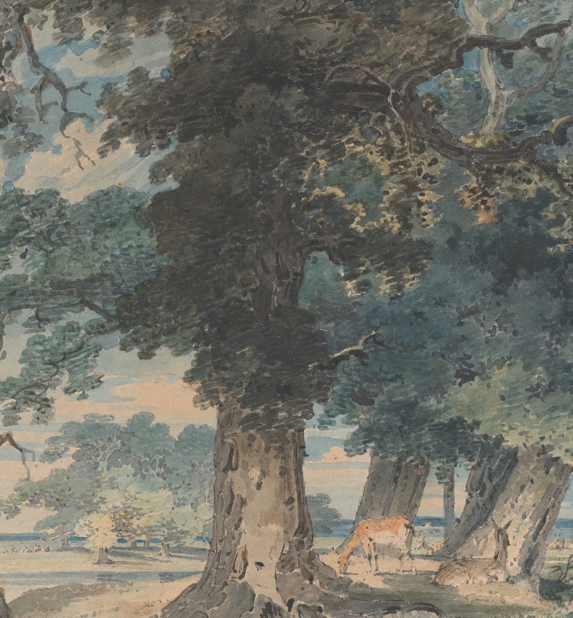 温莎森林的鹿，1793-94。 作者 托马斯·吉尔丁