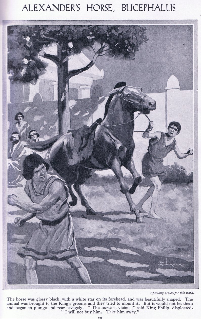 亚历山大的马，Bucephalus：这匹马全身乌黑光亮，额头上有一颗白星，约 1950 年（石版印刷）。 作者 汤玛斯·希思·罗宾逊