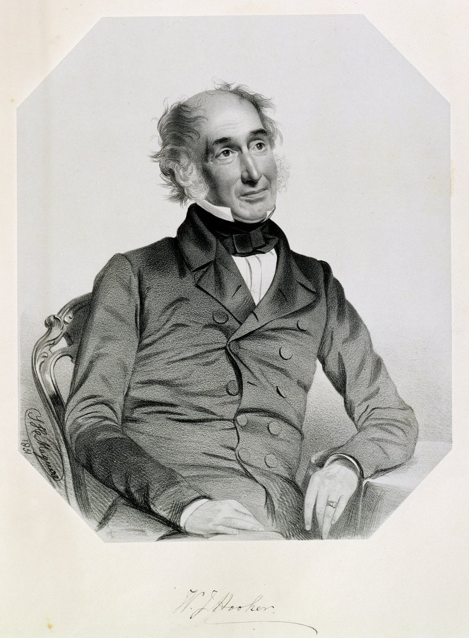 William Jackson Hooker爵士（1785-1865）1851年 作者 托马斯·赫伯特·马奎尔