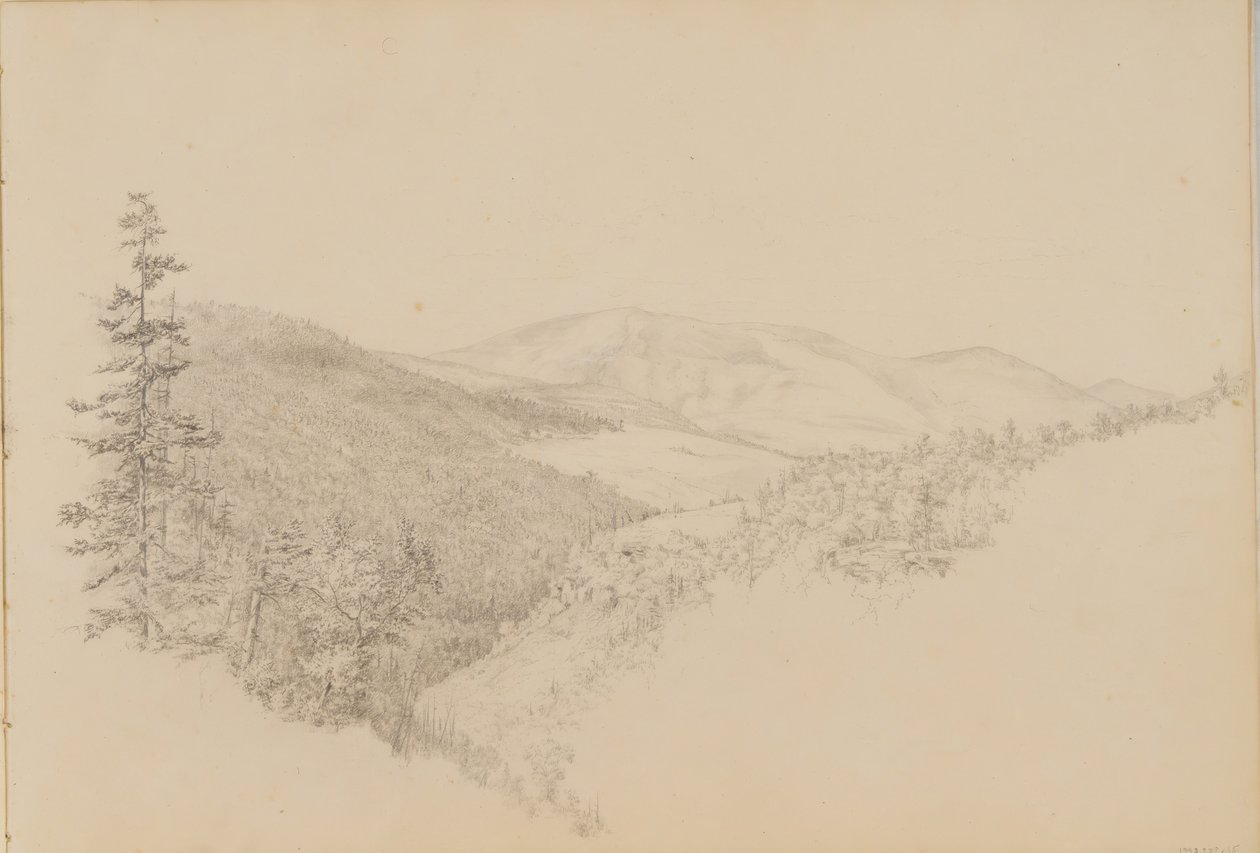 Kauterskill丁香出自风景和动物题材的素描本，约1860-64。 作者 托马斯·休斯·欣克利