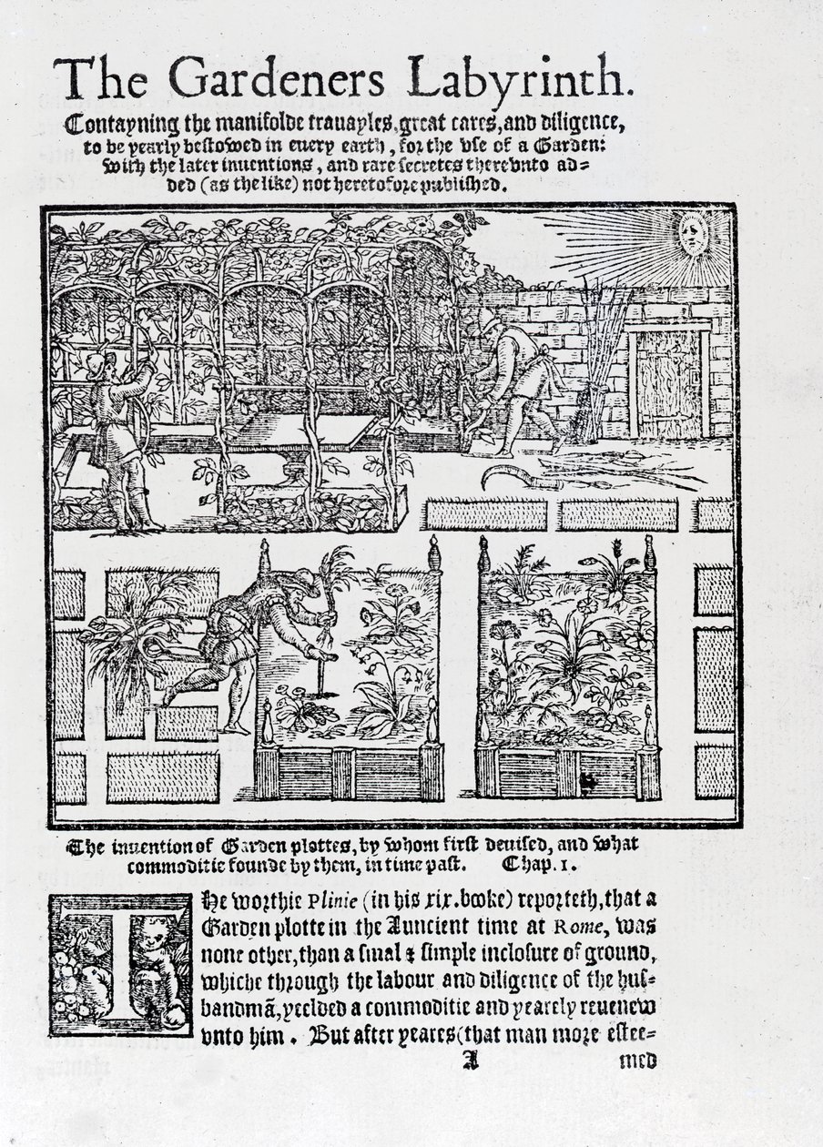 从1577年的园丁迷宫（The Gardeners Labyrinth）开始，阿尔布尔（Arbor）建造成遮阳和种植在高高的床上 作者 托马斯·希尔