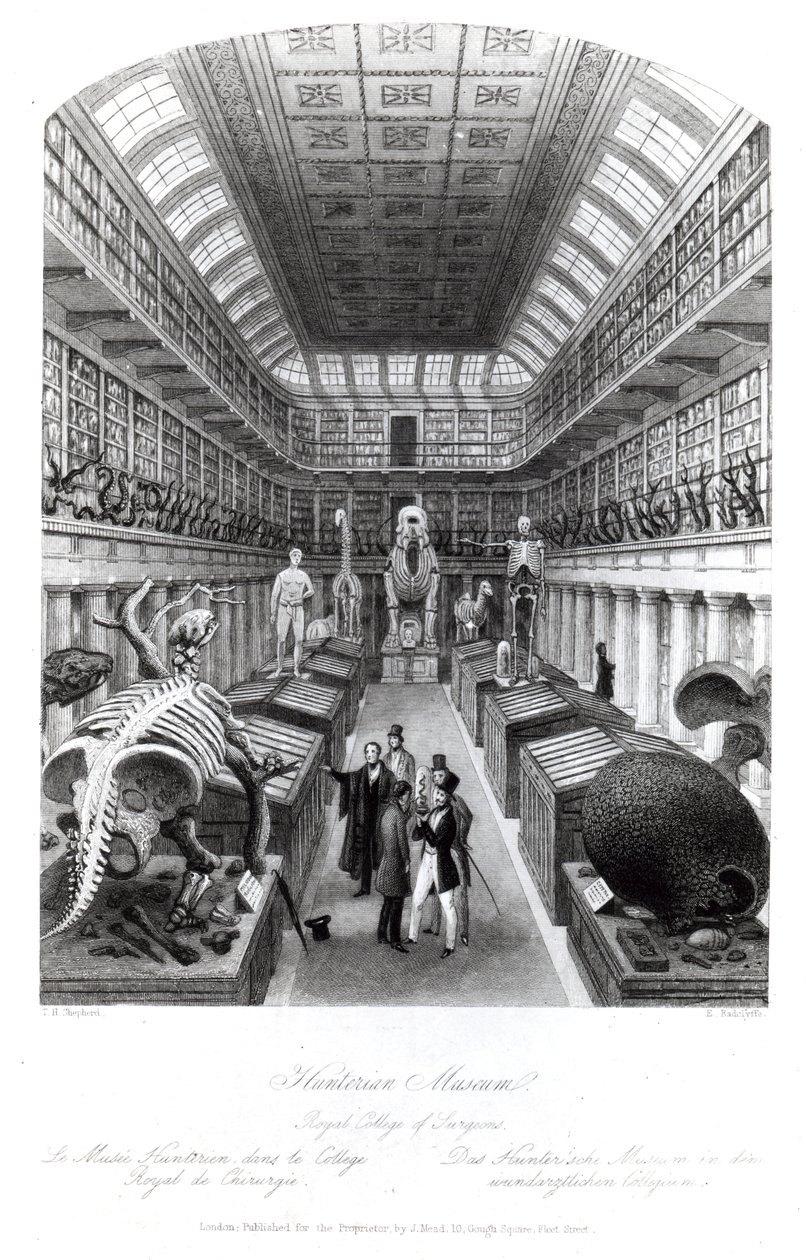 亨特里安博物馆，插图为&39;伦敦室内设计&39;，由Edward Radclyffe雕刻，1840年代 作者 托马斯·霍斯默牧羊人
