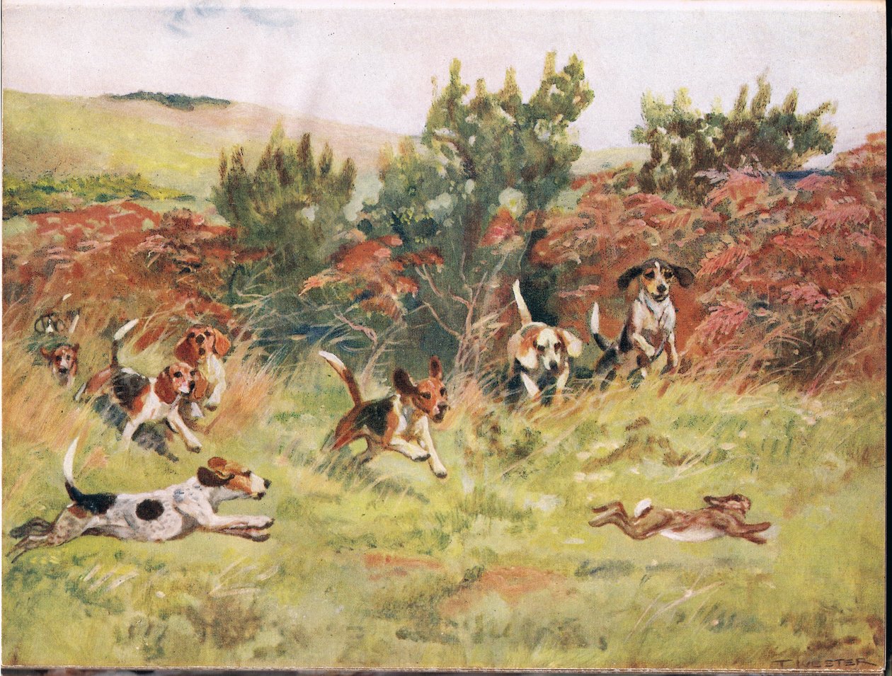 追逐野兔，来自&39;猎犬&39;的插图 作者 托马斯·伊夫斯特·劳埃德