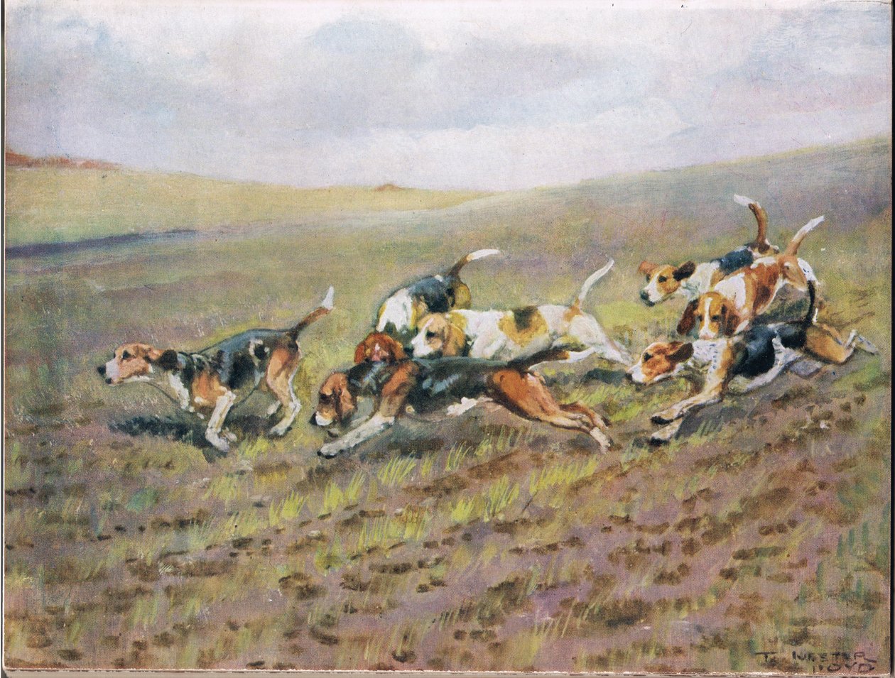 穿越田野，来自&39;猎犬&39;的插图 作者 托马斯·伊夫斯特·劳埃德