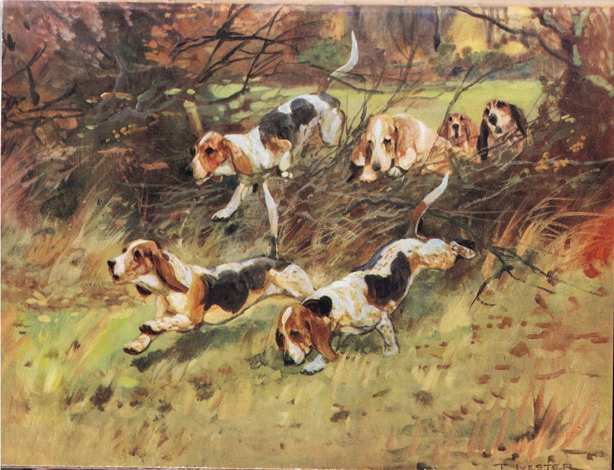 通过绿篱，来自&39;猎犬&39;的插图 作者 托马斯·伊夫斯特·劳埃德