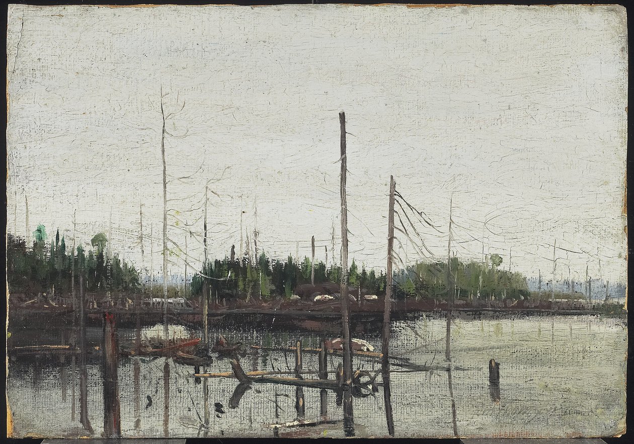 淹没之地，1912年（纸上油（带有浮雕帆布质地）在木头上） 作者 汤姆汤姆森