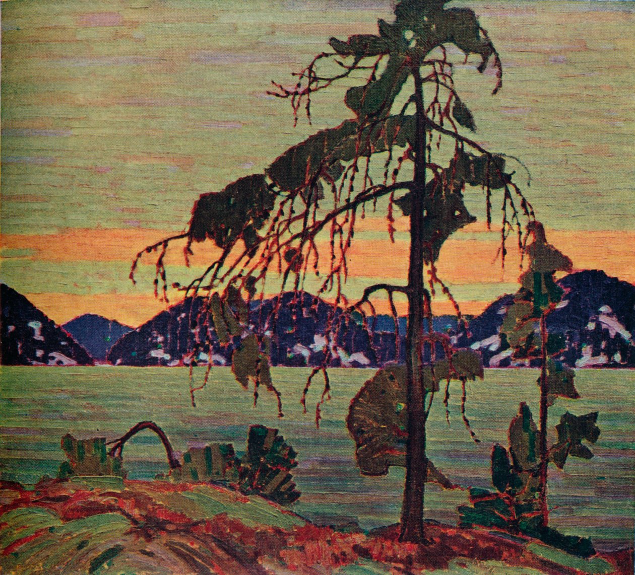 杰克·派恩（Jack Pine），1917年。1925年 作者 汤姆汤姆森