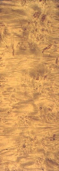 美国木棉，约1851-62（石板上的纹路）。 作者 托马斯·克肖