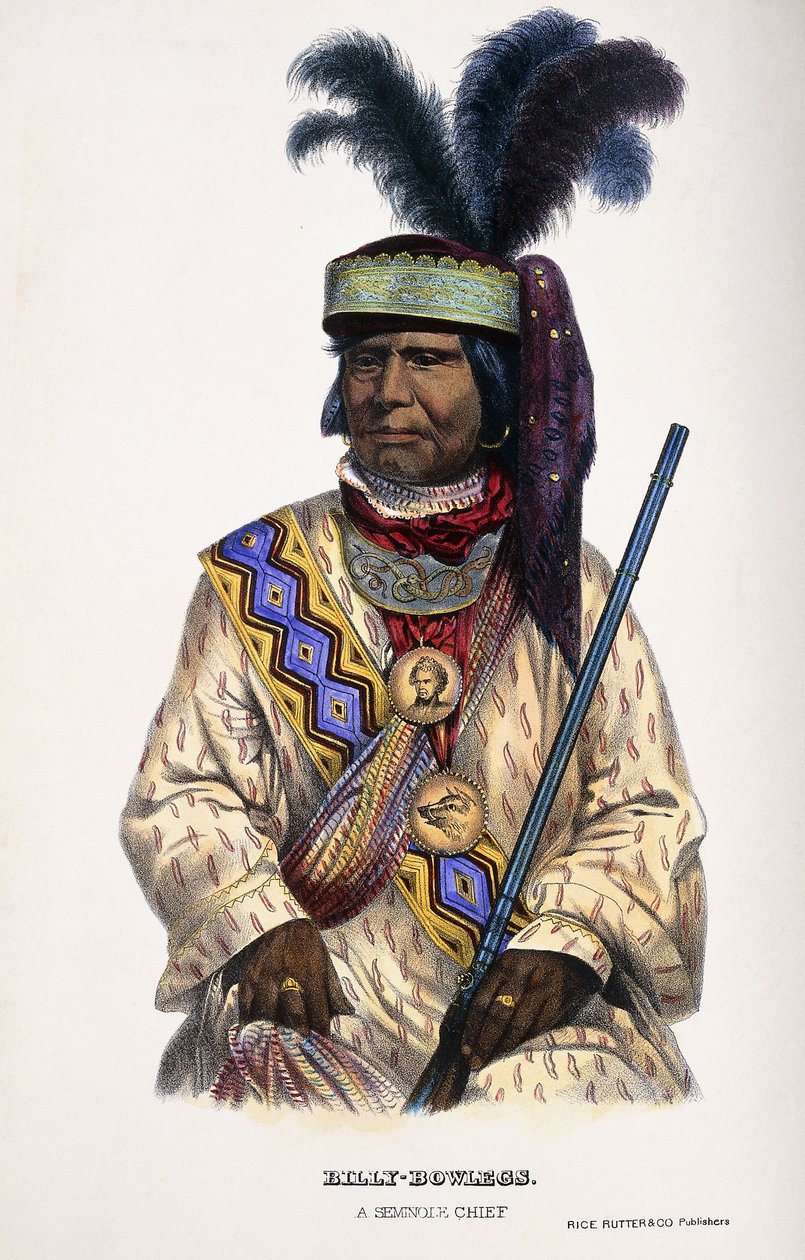 比利·鲍格斯（Billy-Bowlegs），塞米诺尔酋长，1899年 作者 托马斯·洛兰·麦肯尼