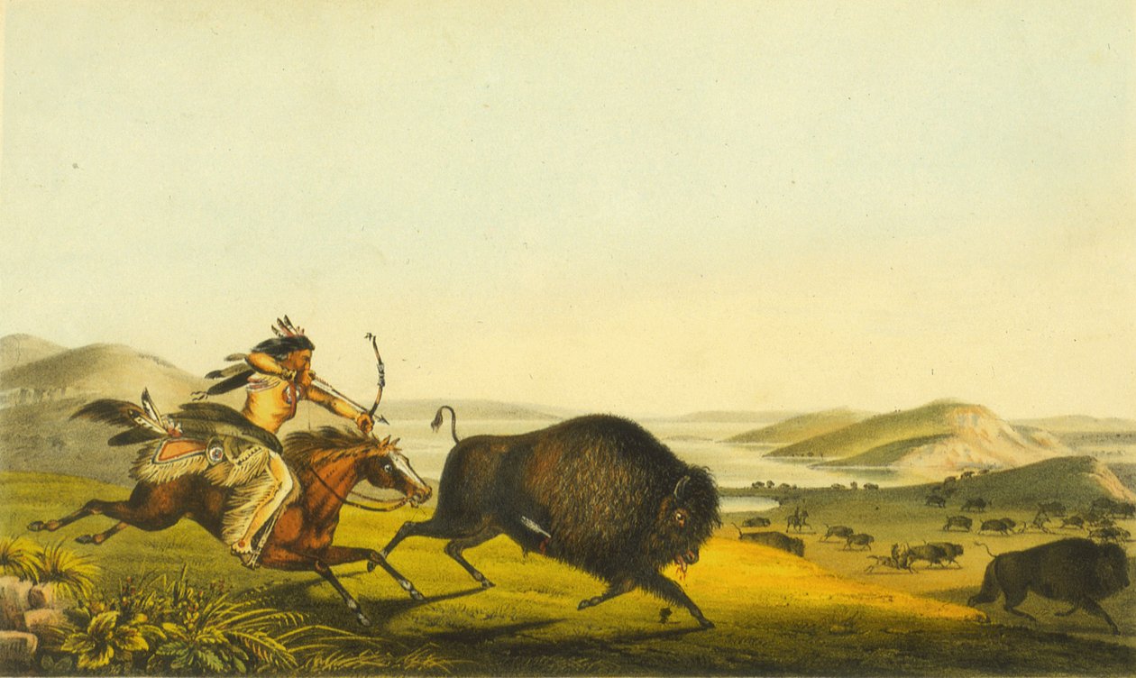 狩猎水牛，1848年（手工彩色光刻） 作者 托马斯·洛兰·麦肯尼