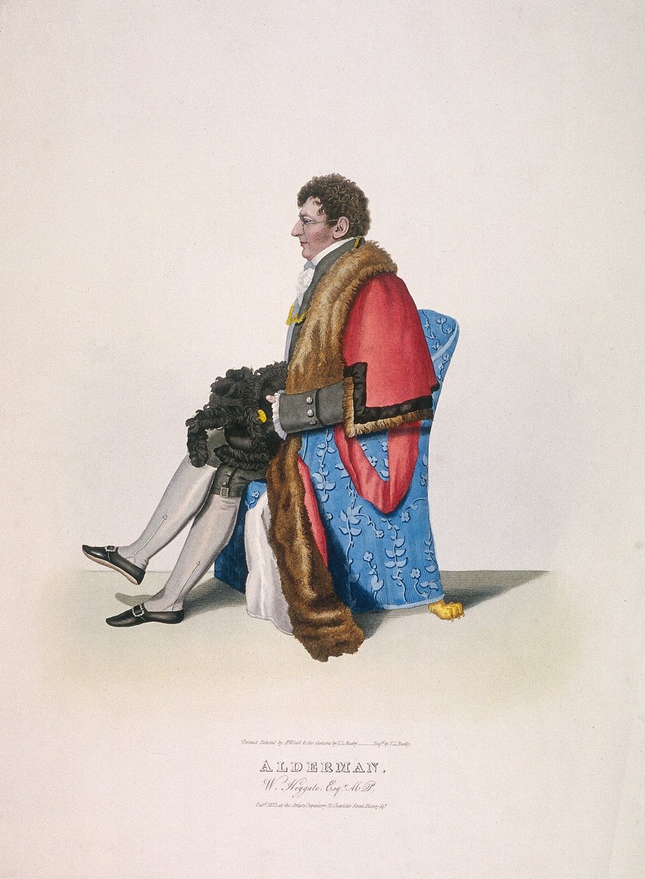 威廉-海格特爵士（Alderman Sir William Heygate），坐着，身穿公民服装，展示长袍和帽子，1825年 作者 托马斯·巴斯比勋爵