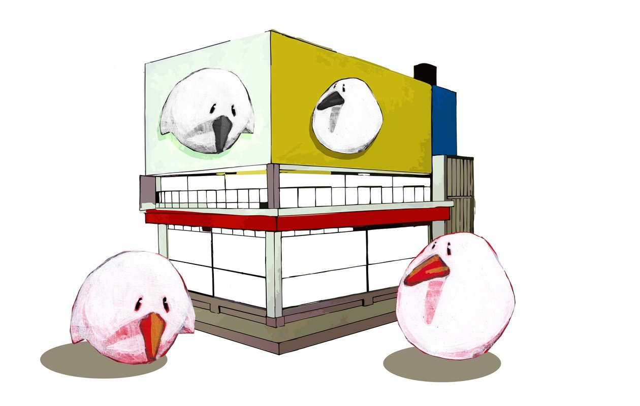 Birdiehoose 作者 托马斯·麦格雷戈