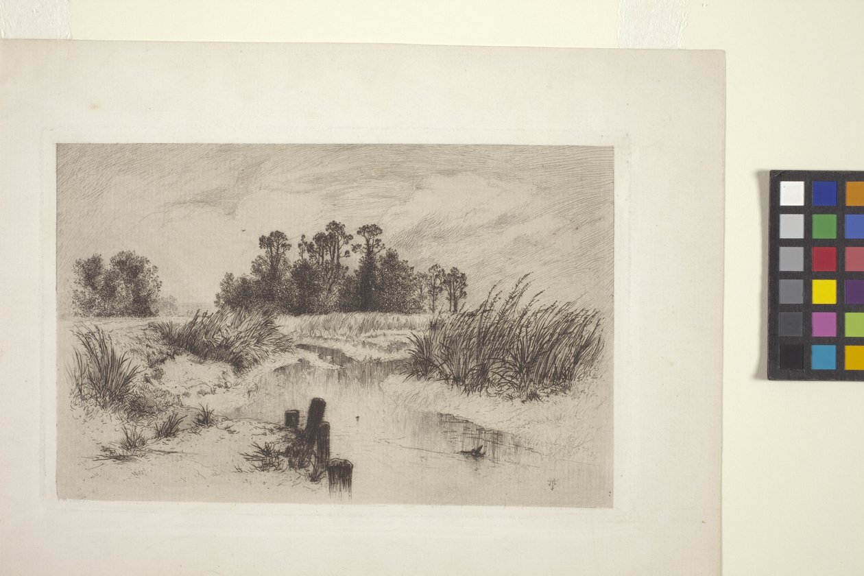 有溪流的沼泽风景（蚀刻版画，纸本） 作者 托马斯·莫兰