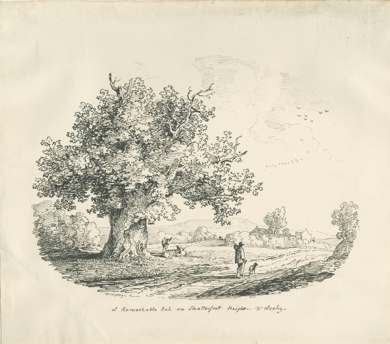 Arley-Shatterfort Height：石版画，1839年 作者 托马斯·佩普洛伍德