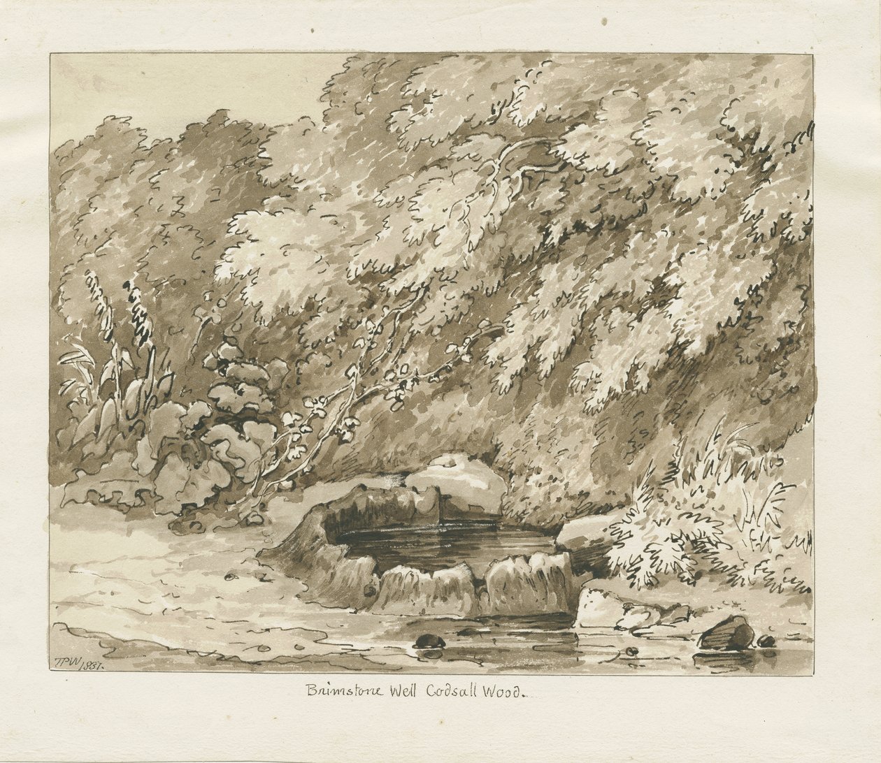 Codsall Wood-硫磺井：棕褐色绘图 作者 托马斯·佩普洛伍德