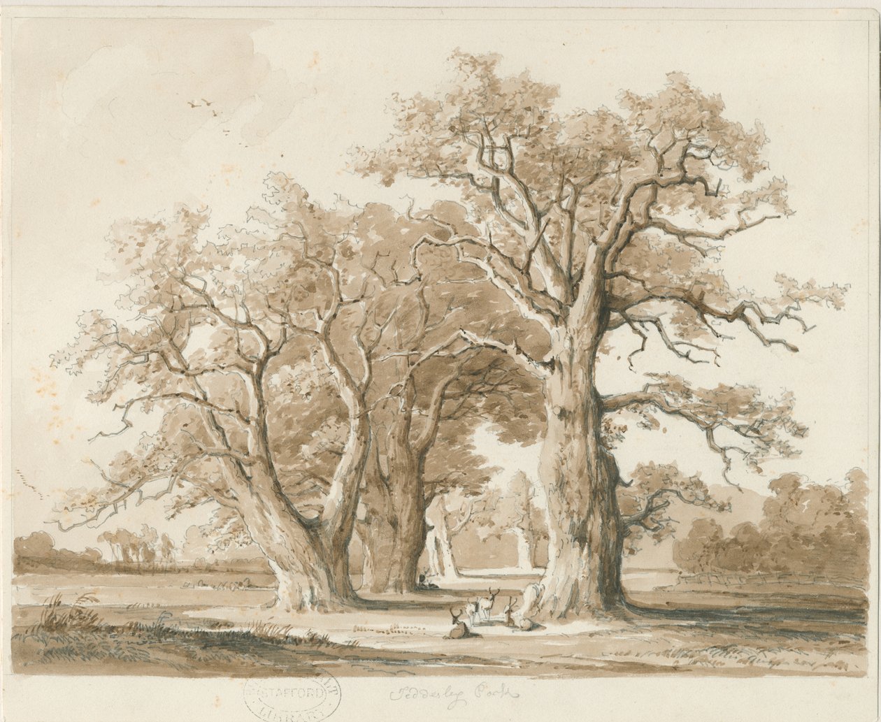 特德斯利堂-橡树：铅笔和水墨画，未完成[1842年11月]（绘画） 作者 托马斯·佩普洛伍德